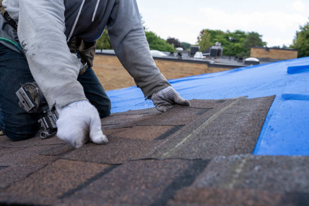 Best Roof Gutter Cleaning  in Baltic, SD