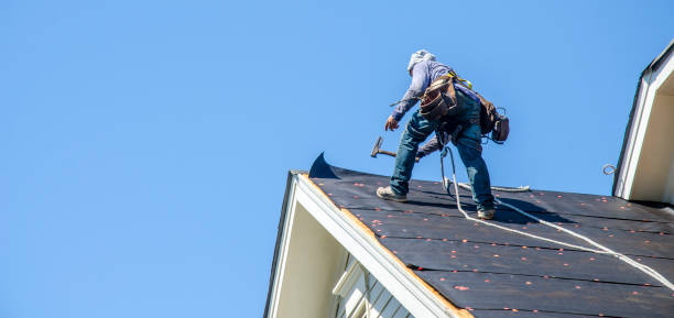 Best Flat Roof Repair Services  in Baltic, SD